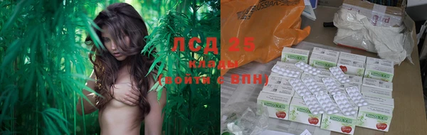 круглые Белокуриха