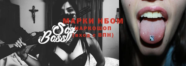 прущие грибы Саяногорск