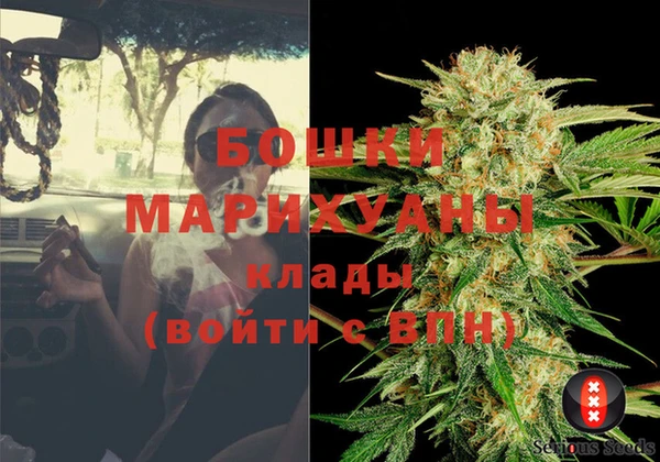 PSILOCYBIN Белоозёрский