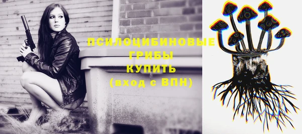 PSILOCYBIN Белоозёрский