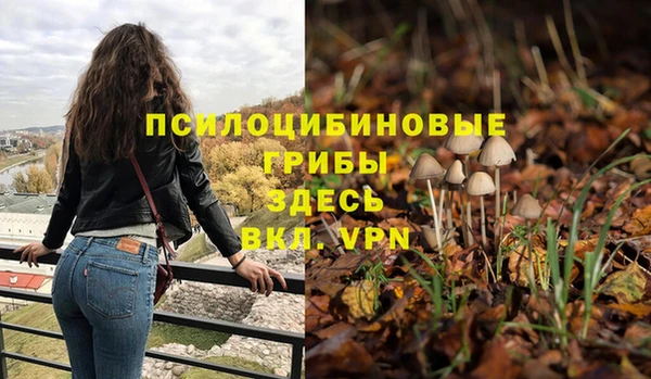 круглые Белокуриха