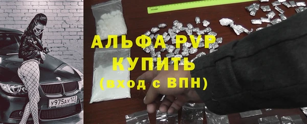 круглые Белокуриха