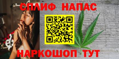 сатива Будённовск