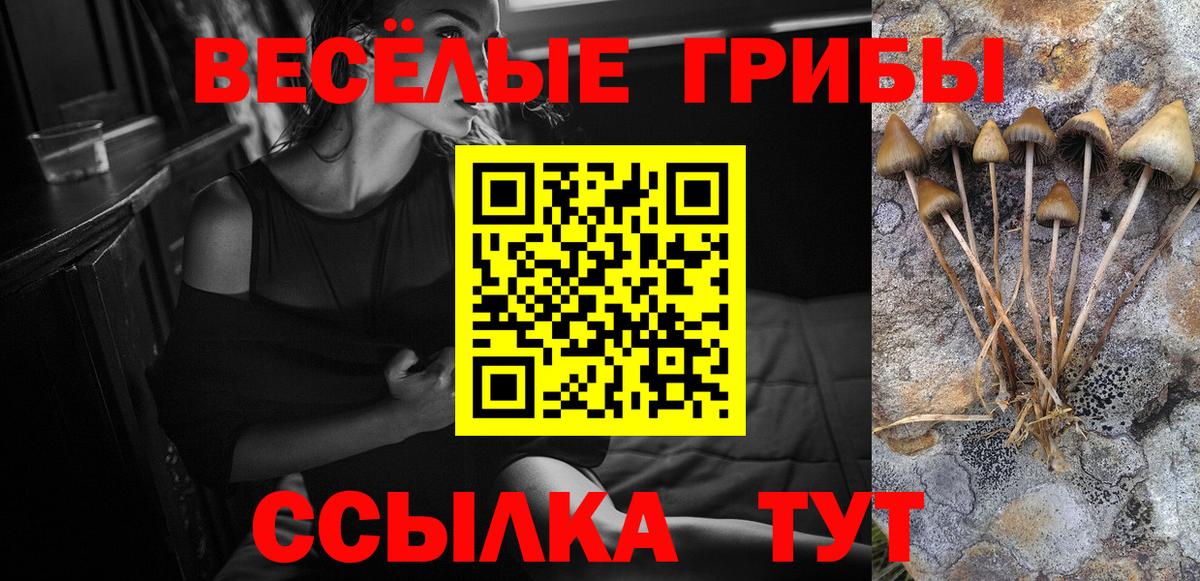 Галлюциногенные грибы ЛСД Вятские Поляны