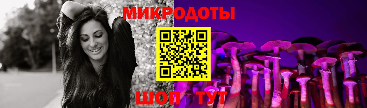 Псилоцибиновые грибы прущие грибы  Вятские Поляны  Псилоцибиновые грибы Psilocybe 